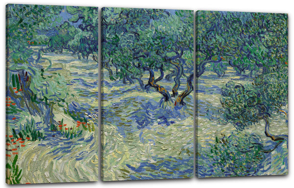 Leinwandbild Vincent van Gogh - Oliven-Feld