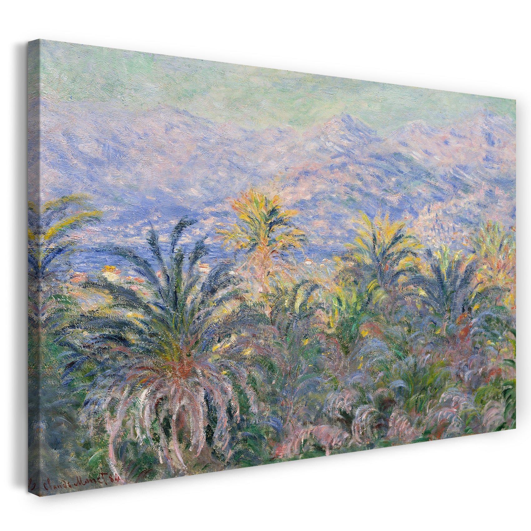 Leinwandbild Claude Monet - Palmen in Bordighera (1884)