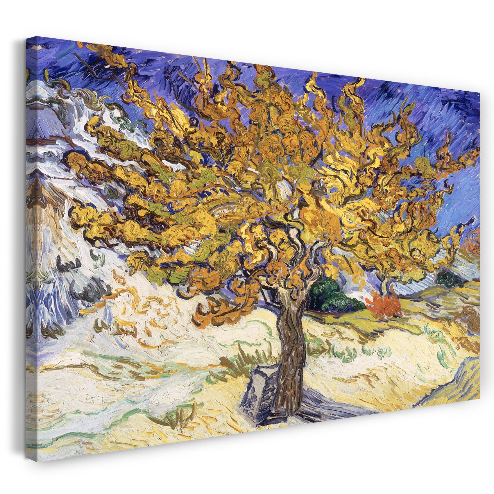 Leinwandbild Vincent van Gogh - Maulbeerbaum (1889)