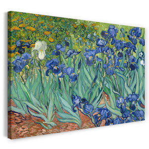 Leinwandbild Vincent van Gogh - Schwertlilien (1889)