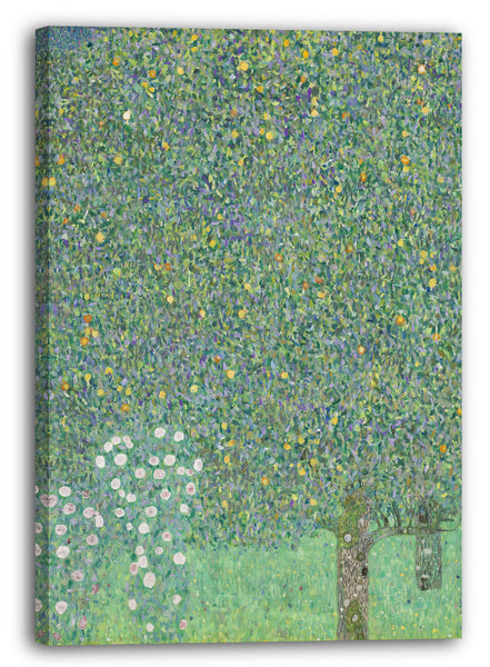 Leinwandbild Gustav Klimt - Rosen unter Bäumen (1905)