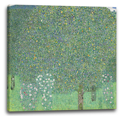 Leinwandbild Gustav Klimt - Rosen unter Bäumen (1905)