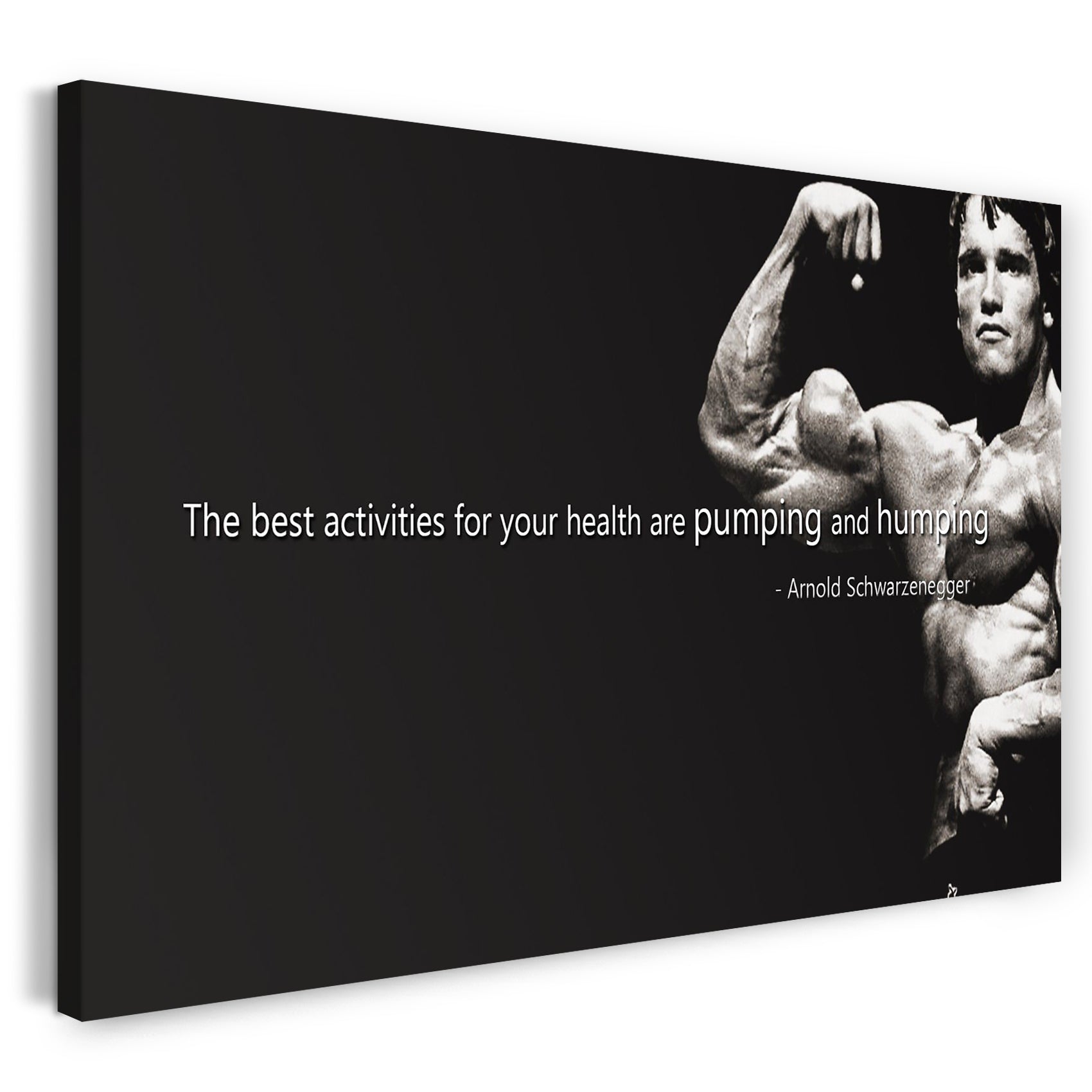 Leinwandbild Arnold Schwarzenegger