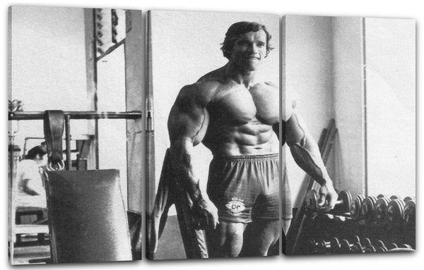 Leinwandbild Junger Arnold Schwarzenegger im Trainingsraum Oberkörper frei
