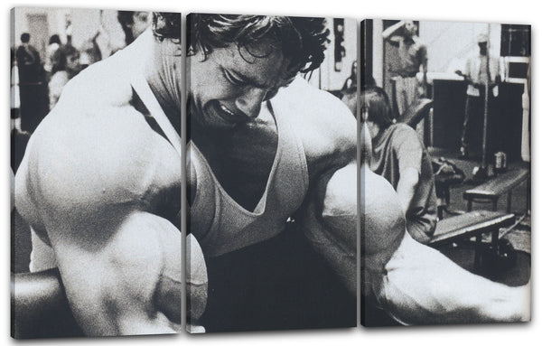 Leinwandbild Arnold Schwarzenegger