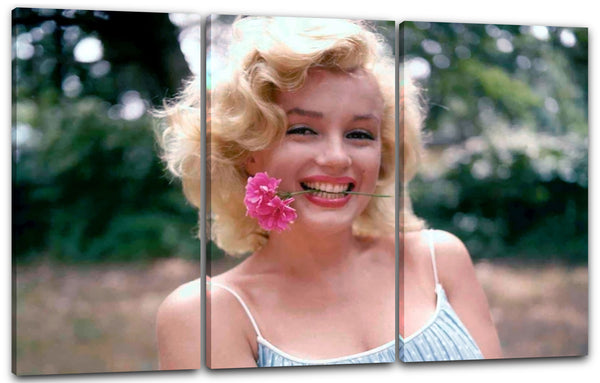 Leinwandbild Marilyn Monroe rosa Rose Blume im Mund sexy Träger-kleid