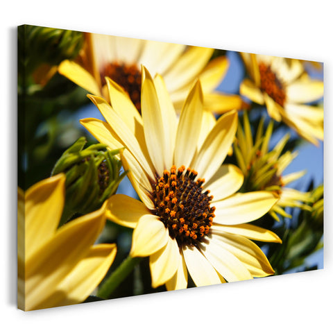 Leinwandbild Blumen-Bilder Blumen mit gelben Blüten Rosen