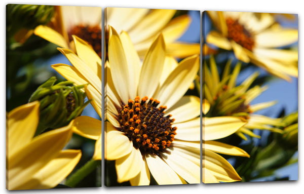 Leinwandbild Blumen-Bilder Blumen mit gelben Blüten Rosen