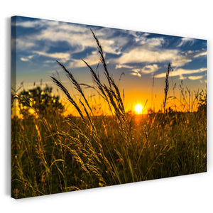 Leinwandbild Weizenfeld bei Sonnenuntergang wie gemalt Idylle schön