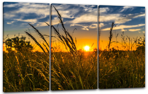 Leinwandbild Weizenfeld bei Sonnenuntergang wie gemalt Idylle schön