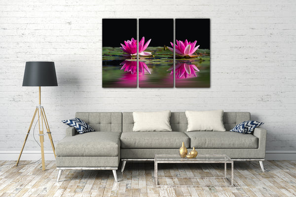 Leinwandbild Wasser-Rosen See-Rosen pink rosa lila und grün im Teich