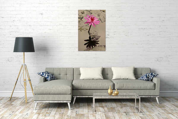 Leinwandbild Wasser-Lilien Wasser-Rosen rosa pink im Wasser/Teich spiegelnd