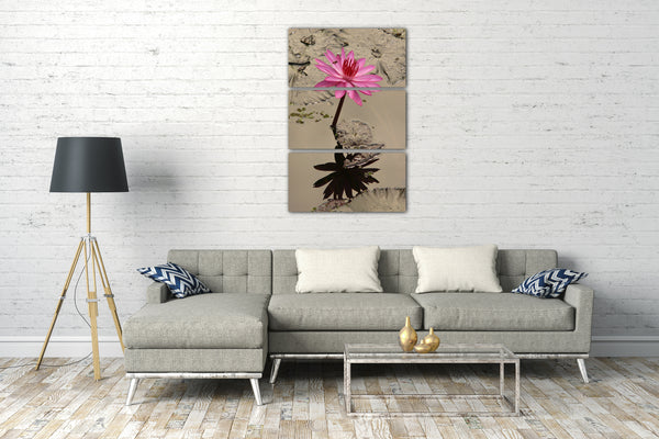 Leinwandbild Wasser-Lilien Wasser-Rosen rosa pink im Wasser/Teich spiegelnd