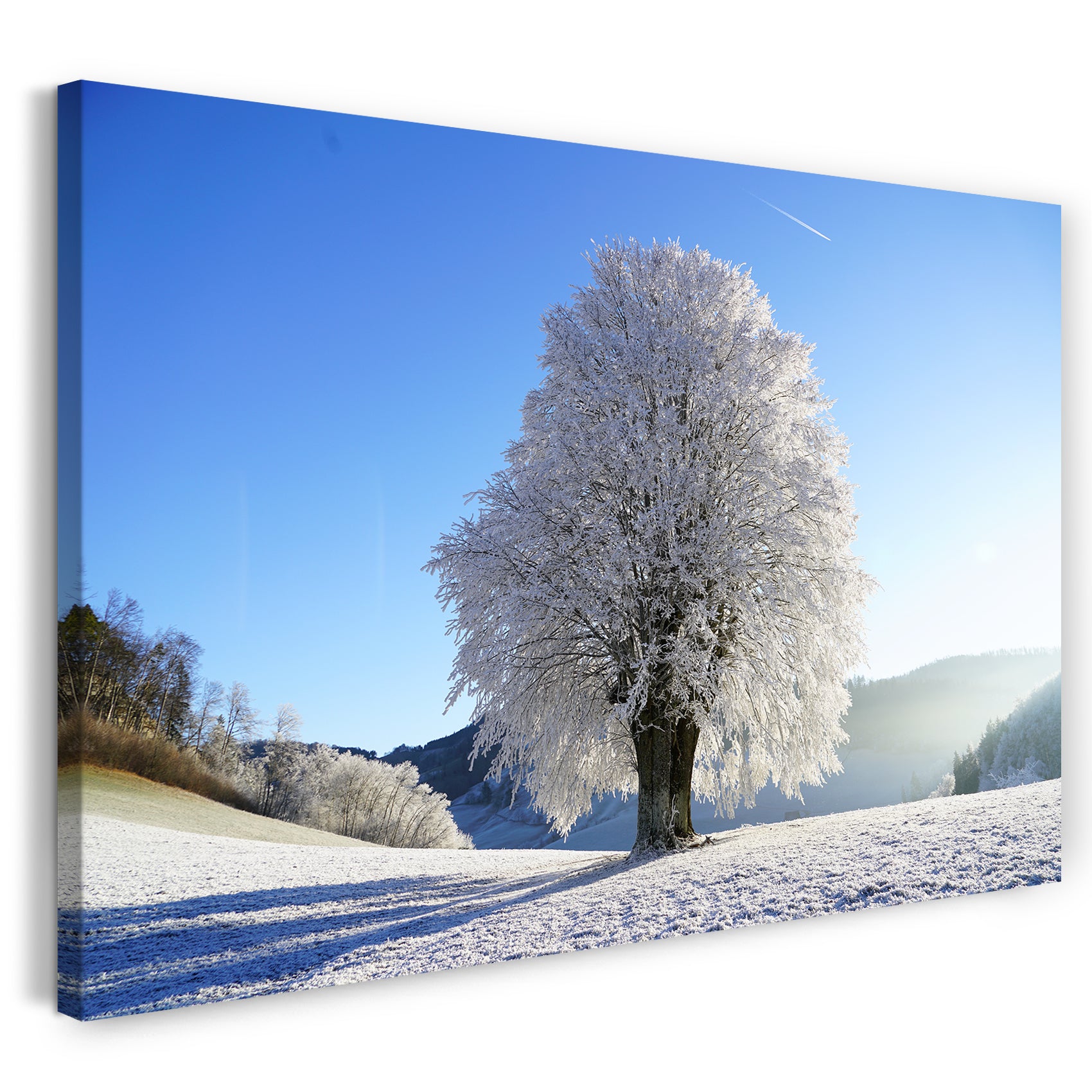 Leinwandbild weißer Baum in Schnee-Landschaft Winter Äste vereist Himmel klar blau