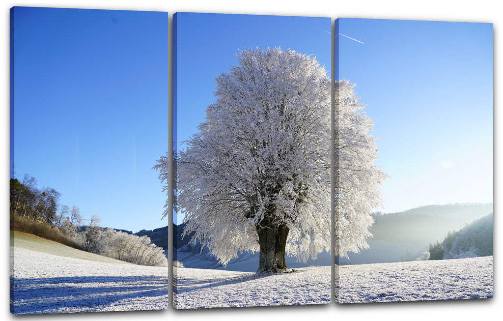bla klar vereist weißer in Äste Printed Paintings Himmel Kunstdruck Schnee-Landschaft Winter Baum –