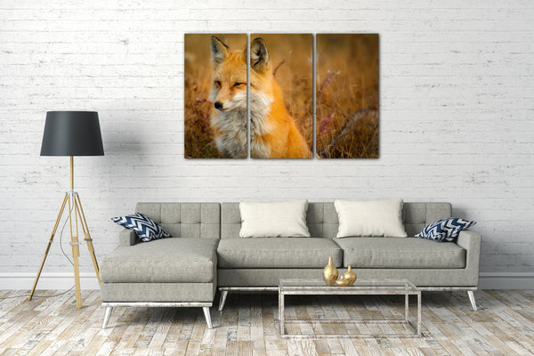 Leinwandbild Tier-Bilder Natur Wildnis Wald Landschaft Fuchs sieht aus wie Akita Inu