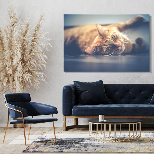 Leinwandbild Katze getigert liegend Katzenbilder Tierbilder