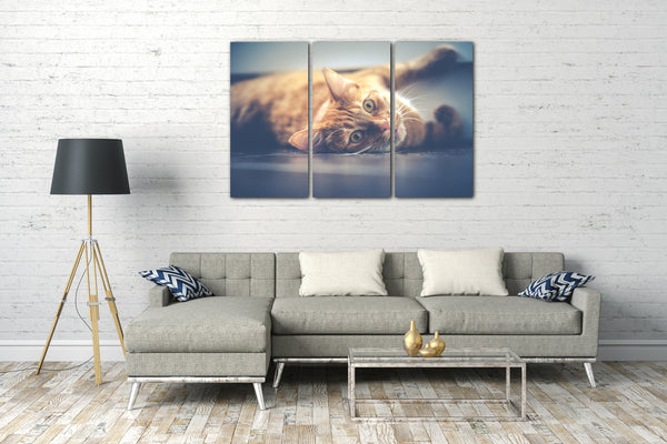 Leinwandbild Katze getigert liegend Katzenbilder Tierbilder