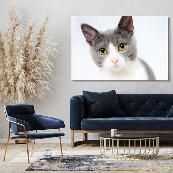 Leinwandbild Katze grau-weiß süß guckend Katzenbilder