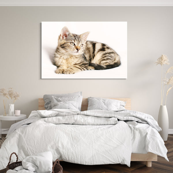 Leinwandbild Katzenbaby getigert Katze Katzenbilder