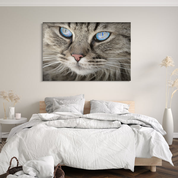 Leinwandbild Katze getigert Nahaufnahme Katzenbilder