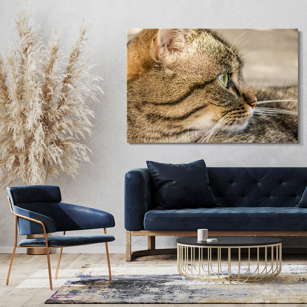 Leinwandbild Katze getigert Nahaufnahme Katzenbilder