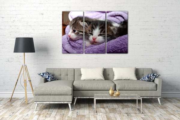 Leinwandbild Katzenbabies Katzenbaby süß Katzenbilder