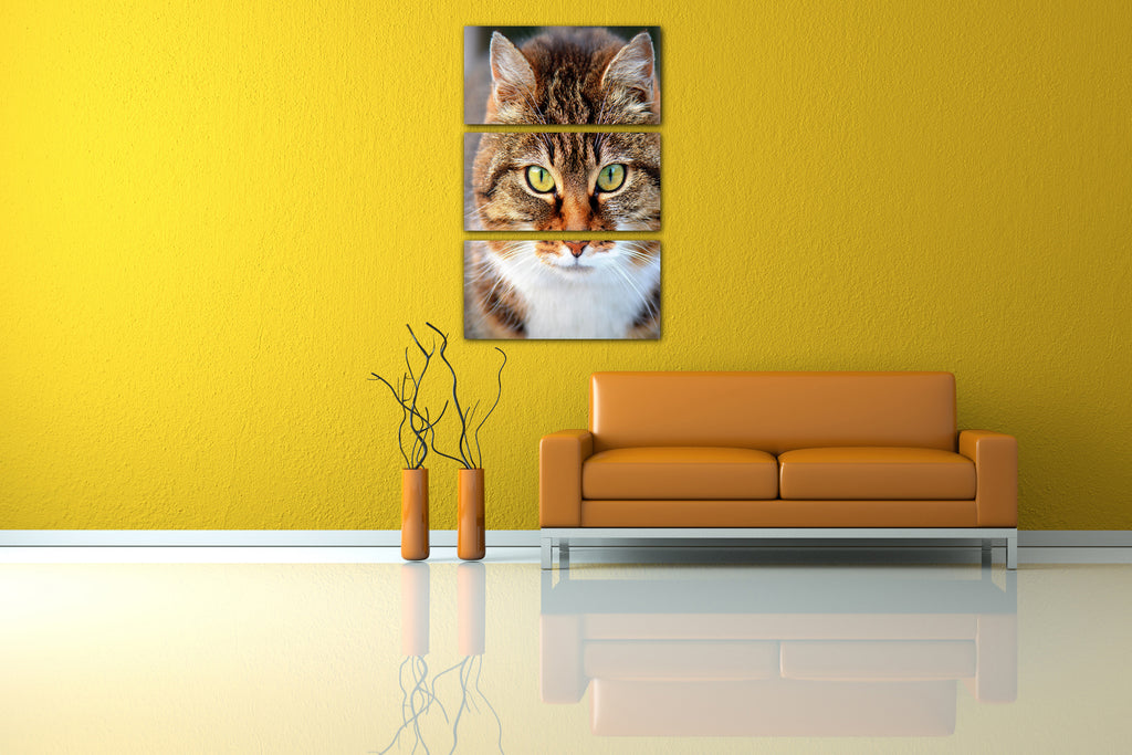 Wandbild Katze getigert Nahaufnahme Katzenbilder – Printed Paintings
