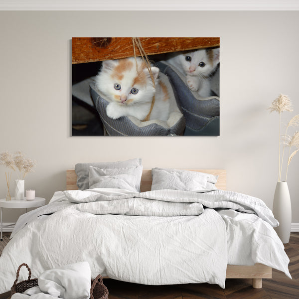 Leinwandbild Katzenbabies im Stiefel Katzenbaby Katzenbilder