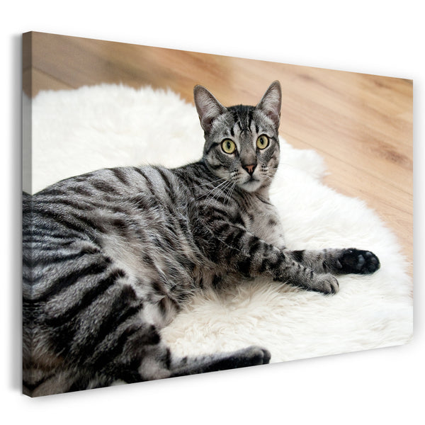 Leinwandbild Katze getigert auf Fell liegend entspannt