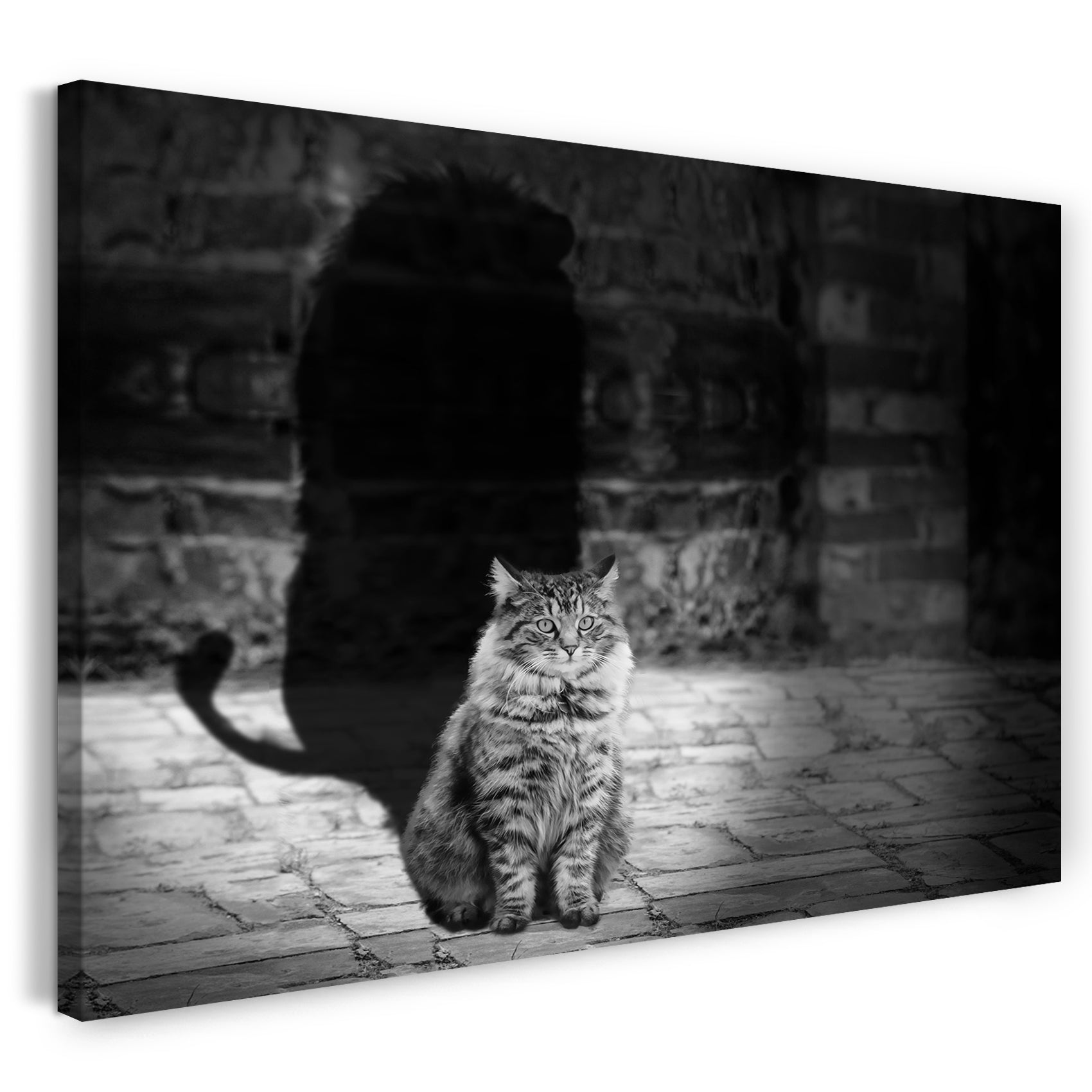 Leinwandbild Katze getigert mit Schatten Katzenbilder
