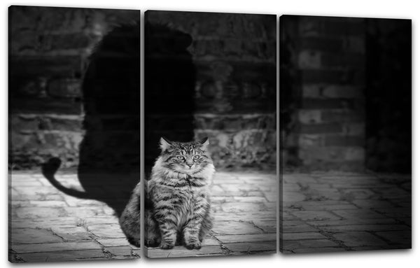 Leinwandbild Katze getigert mit Schatten Katzenbilder
