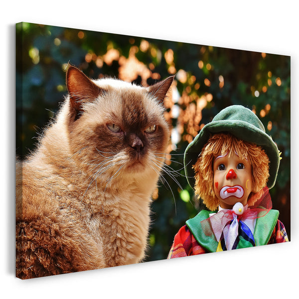 Leinwandbild Katze grumpy mit Clown Katzenbilder Katzen