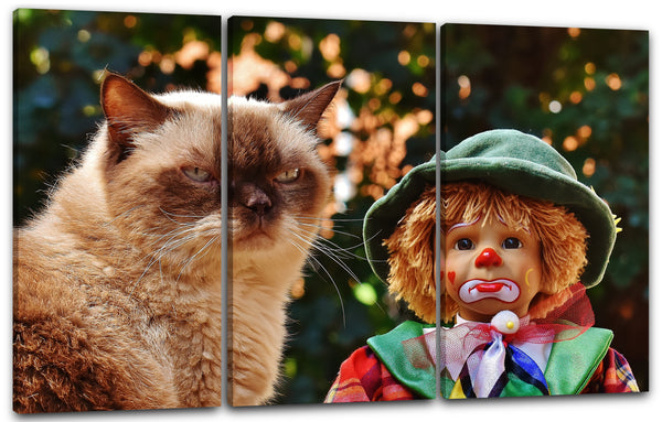 Leinwandbild Katze grumpy mit Clown Katzenbilder Katzen