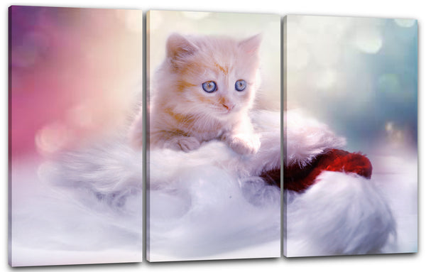 Leinwandbild Katzenbaby getigert süß dreinschauend Katzenbilder