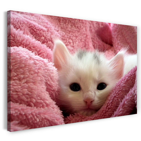 Leinwandbild Katzenbaby in Decke eingehüllt süß Katzenbilder