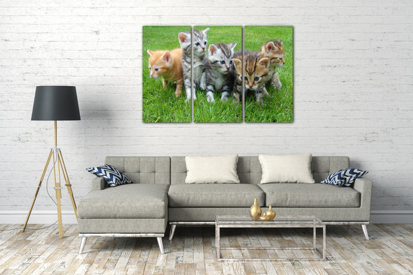 Leinwandbild Katzenbabies getigert verspielt Natur Katzen