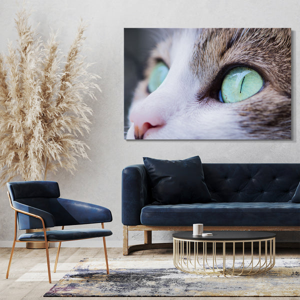 Leinwandbild Katze Nahaufnahme grüne leuchtende Augen Katzenbilder