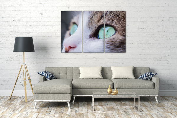 Leinwandbild Katze Nahaufnahme grüne leuchtende Augen Katzenbilder