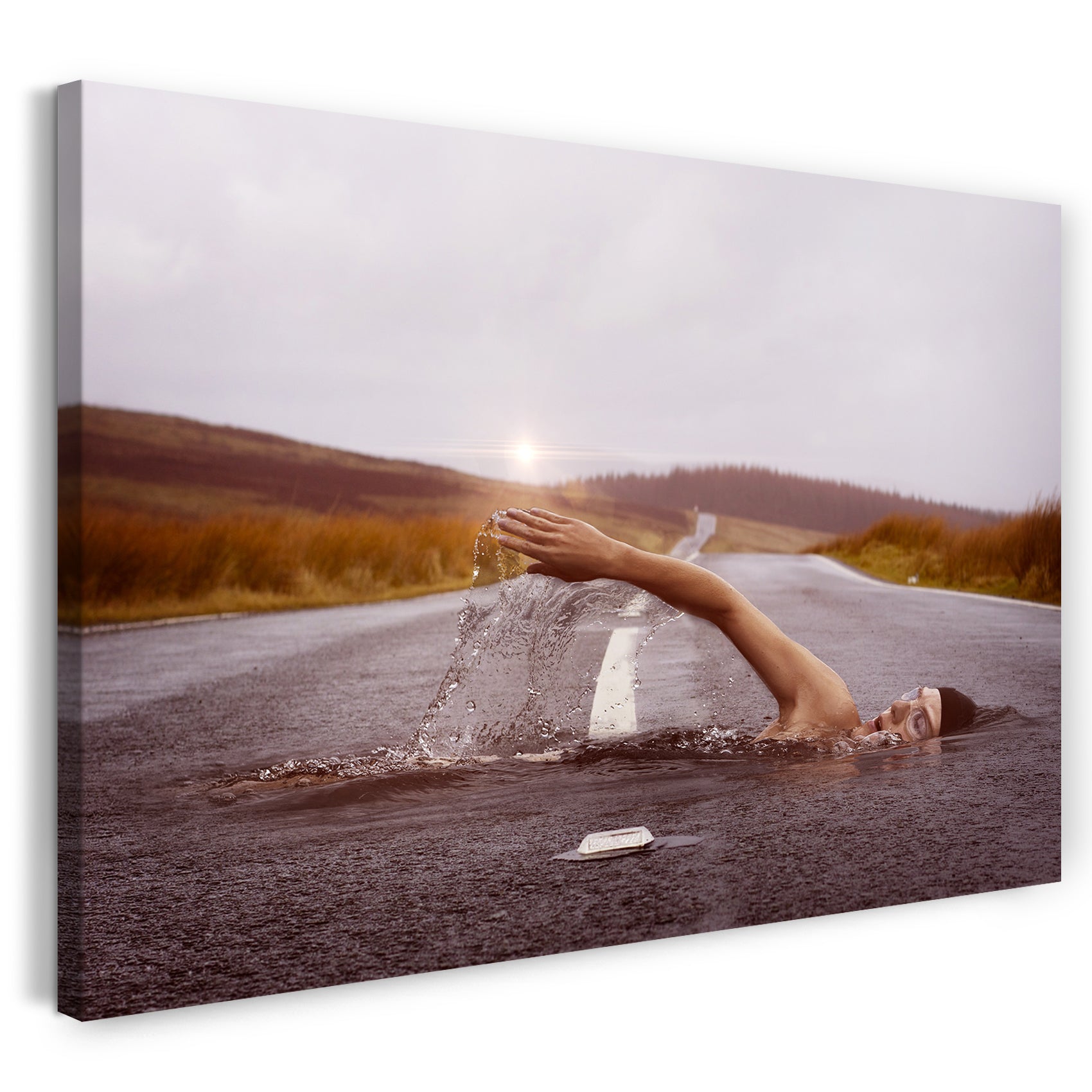 Leinwandbild Schwimmer überquert Straße Foto-Effekt Wald-Landschaft Sonnenuntergang