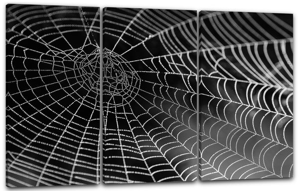 Leinwandbild Spinnweben vor schwarzem Hintergrund