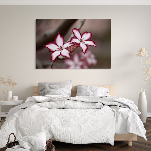 Leinwandbild Blumenbilder Blumenfotos Blüte mit weiß und weinroten Blättern