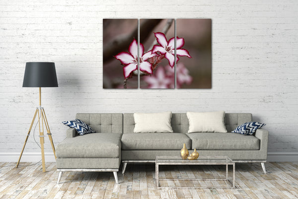 Leinwandbild Blumenbilder Blumenfotos Blüte mit weiß und weinroten Blättern