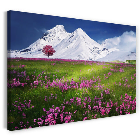 Leinwandbild Blumenbilder Blumenwiese pink vor schneebedecktem Berg