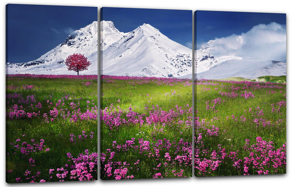 Leinwandbild Blumenbilder Blumenwiese pink vor schneebedecktem Berg