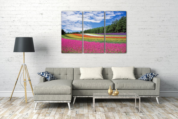 Leinwandbild Blumenwiese mit vielen Farben wie ein Regenbogen (pink, gelb, rot, weiß)