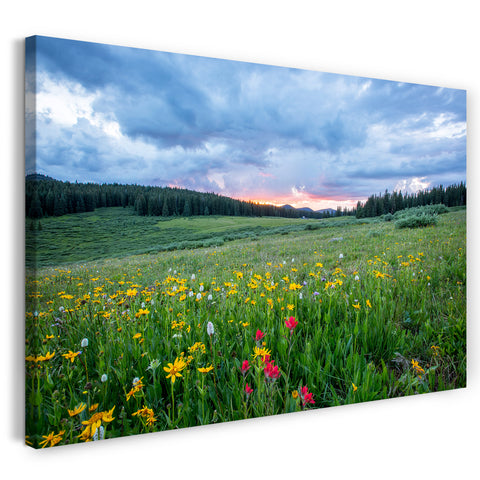 Leinwandbild Blumenwiese mit pink-gelben Blumen vor Sonnenuntergang