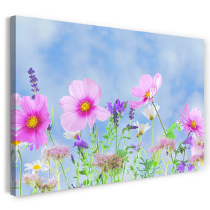 Leinwandbild Blumenbilder Blumenfotos rosa Blüten vor himmelblauer Kulisse