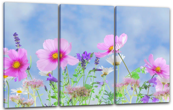 Leinwandbild Blumenbilder Blumenfotos rosa Blüten vor himmelblauer Kulisse