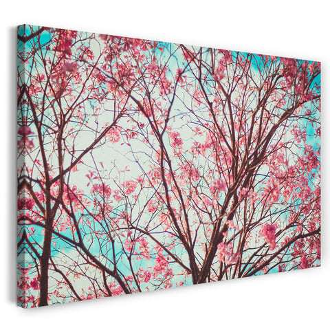 Leinwandbild Blumenbilder Blumenfotos Blüten-Baum mit rosa pinken Blüten